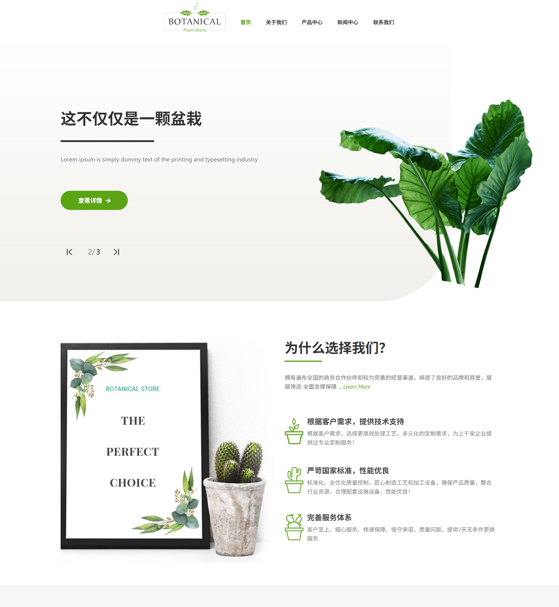 绿植盆栽网站模板